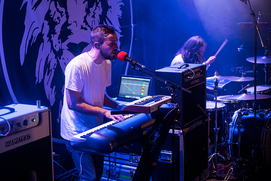 the wombats